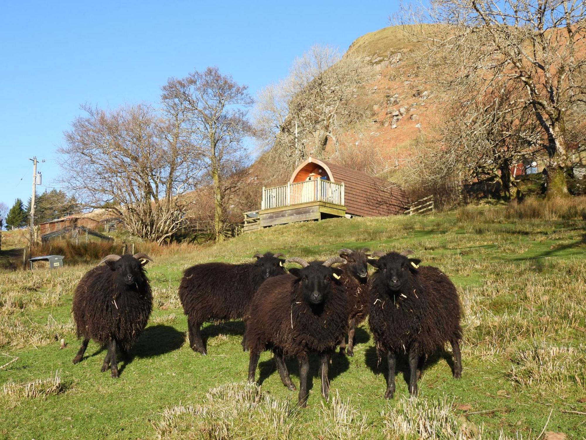 The Wee Lodge Mallaig Luaran gambar